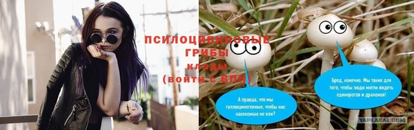 spice Абинск