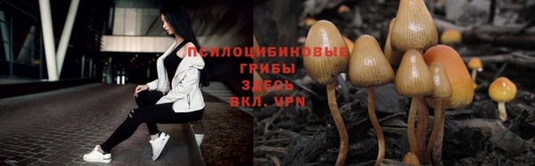 spice Абинск