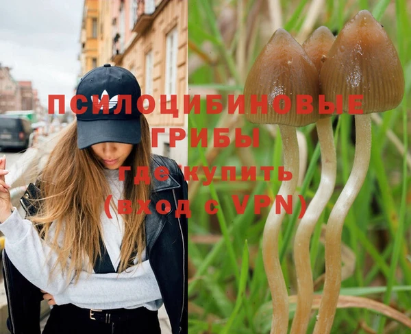 мдпв Абаза