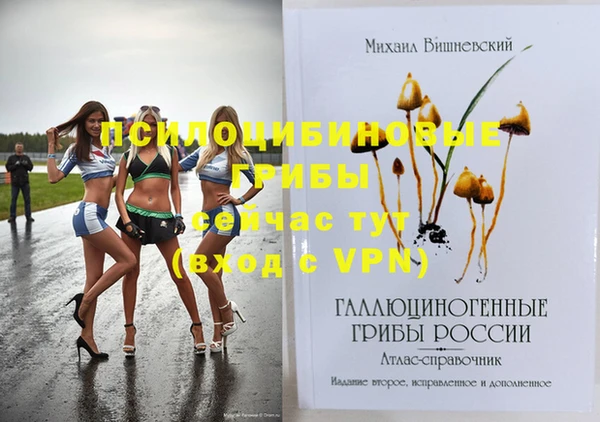 мдпв Абаза