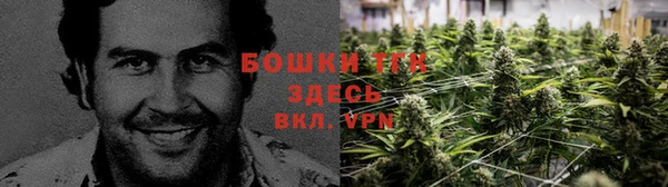 spice Абинск