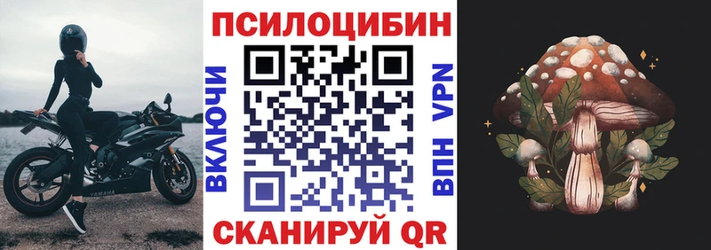 Галлюциногенные грибы MAGIC MUSHROOMS  Кириллов 